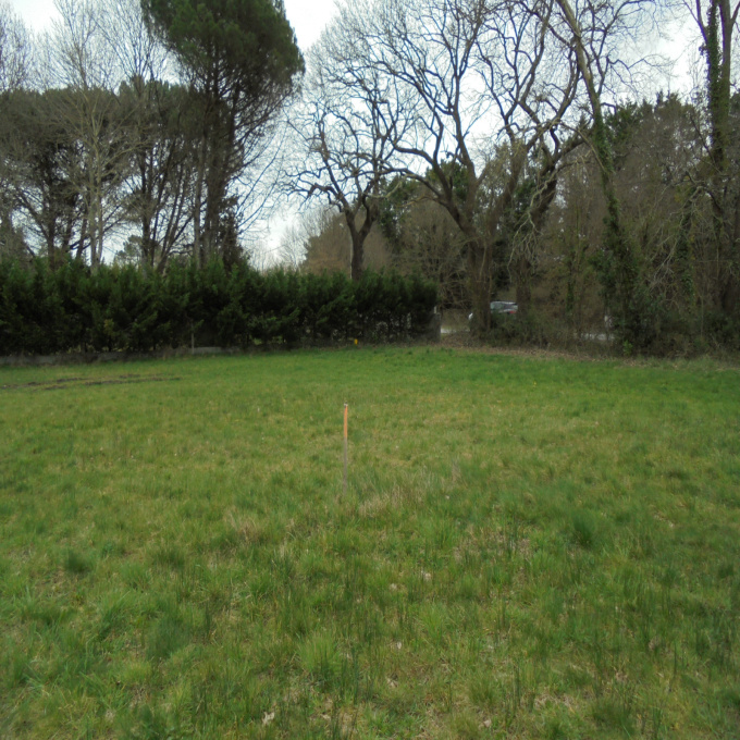 Offres de vente Terrain Le Teich (33470)