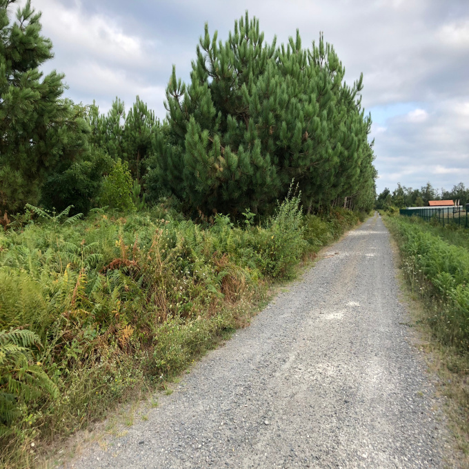 Offres de vente Terrain Le Barp (33114)