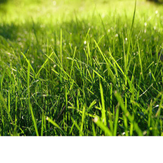 Offres de vente Terrain Salles (33770)