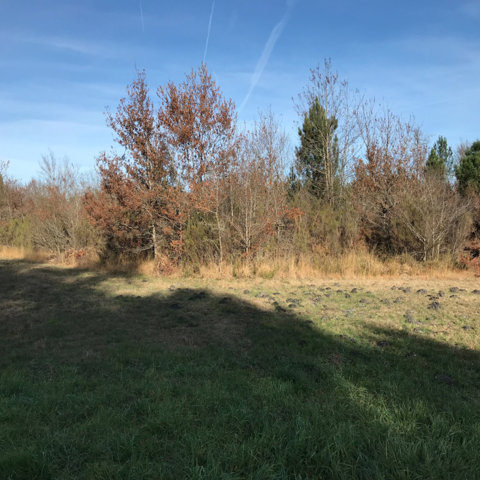 Offres de vente Terrain Le Barp (33114)