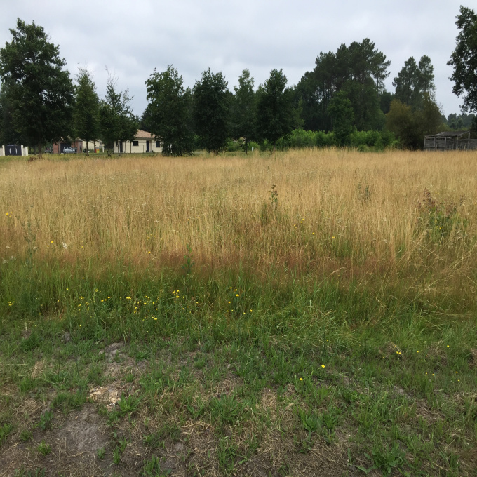 Offres de vente Terrain Luxey (40430)