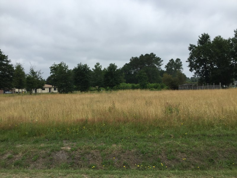 A Vendre A Acheter Terrain Constructible D Une Superficie De 1763 M Viabilise